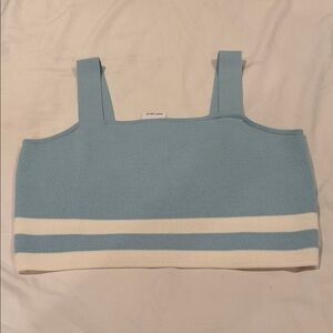 Blue and White Crop Top